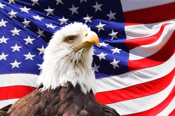 American flag with Eagle